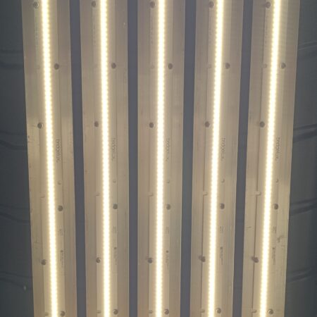 56W 4000K Bridgelux EB3 LED Grow Light