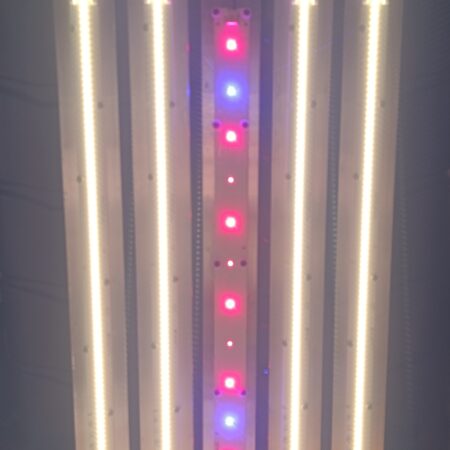 54W Supplemental Fixture (R/B/FR)